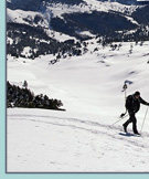 ski