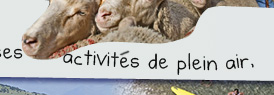 texte